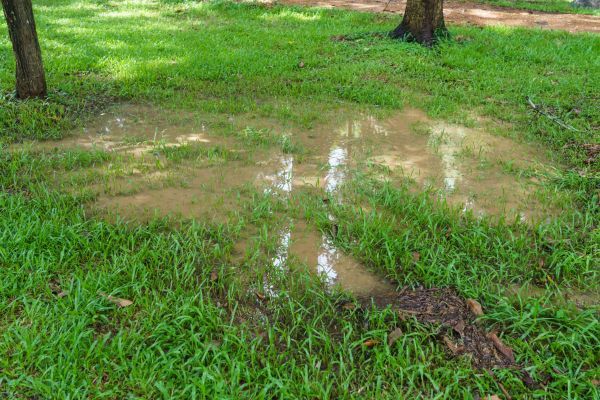 Cost of Storm Water Drainage Service in Racine