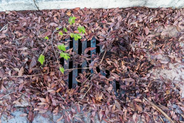 Cost of Yard Drain Unclogging in Racine