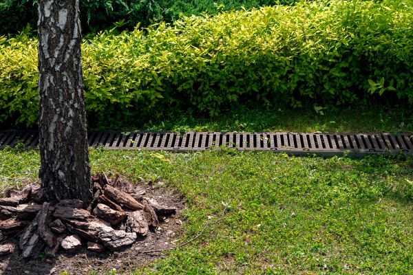 Cost of Yard Water Redirection in Racine