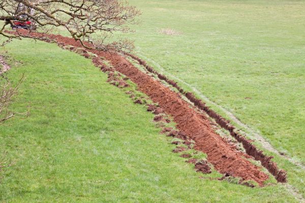 Cost of Swale Installation in Racine