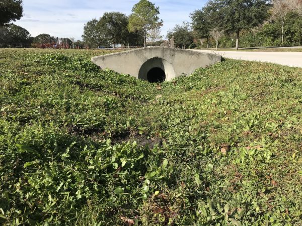 Cost of Swale Drainage Service in Racine